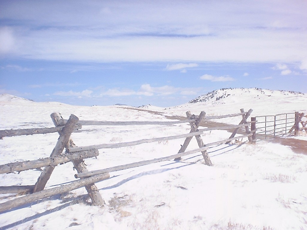Snow fence, wy