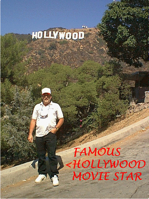 Hollywood Movie Star